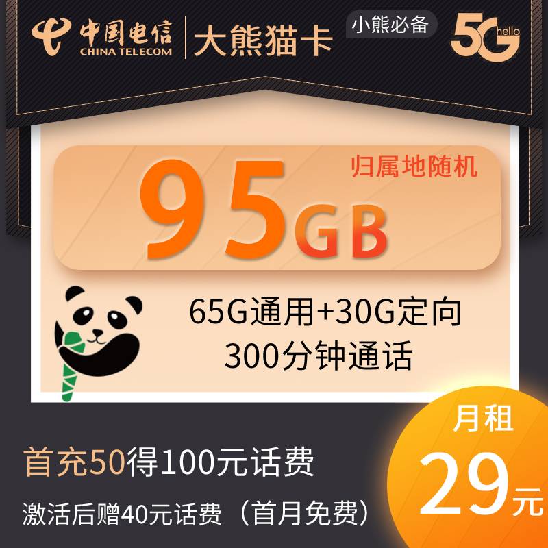DT19 大熊猫卡 29元95G+300分钟通话（6.20）