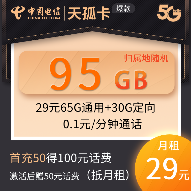 DT17 天孤卡 29元65G通用+30G定向