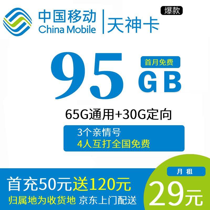DT10 移动天神卡 29元95G+3个亲情号（特殊版本）0825