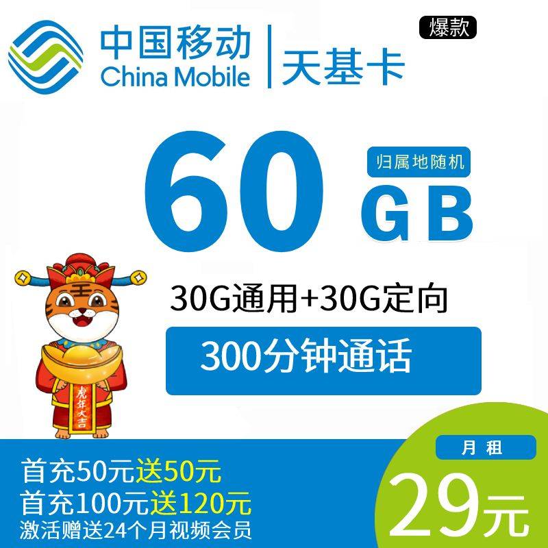 DT11 移动天基卡 29元60G+300分钟（2年优惠期） 0919