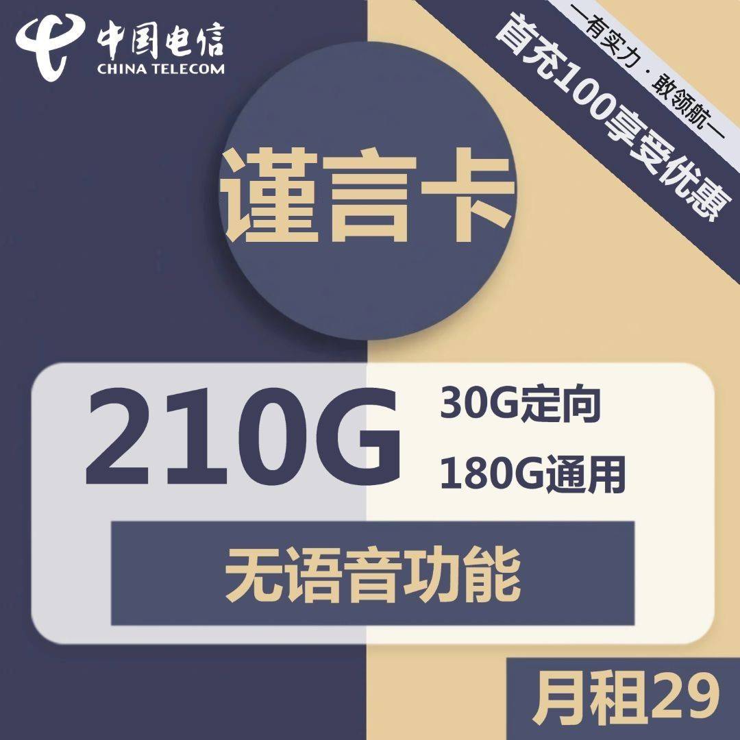 河南电信谨言卡/琵琶卡29元包180G通用+30G定向+无语音功能