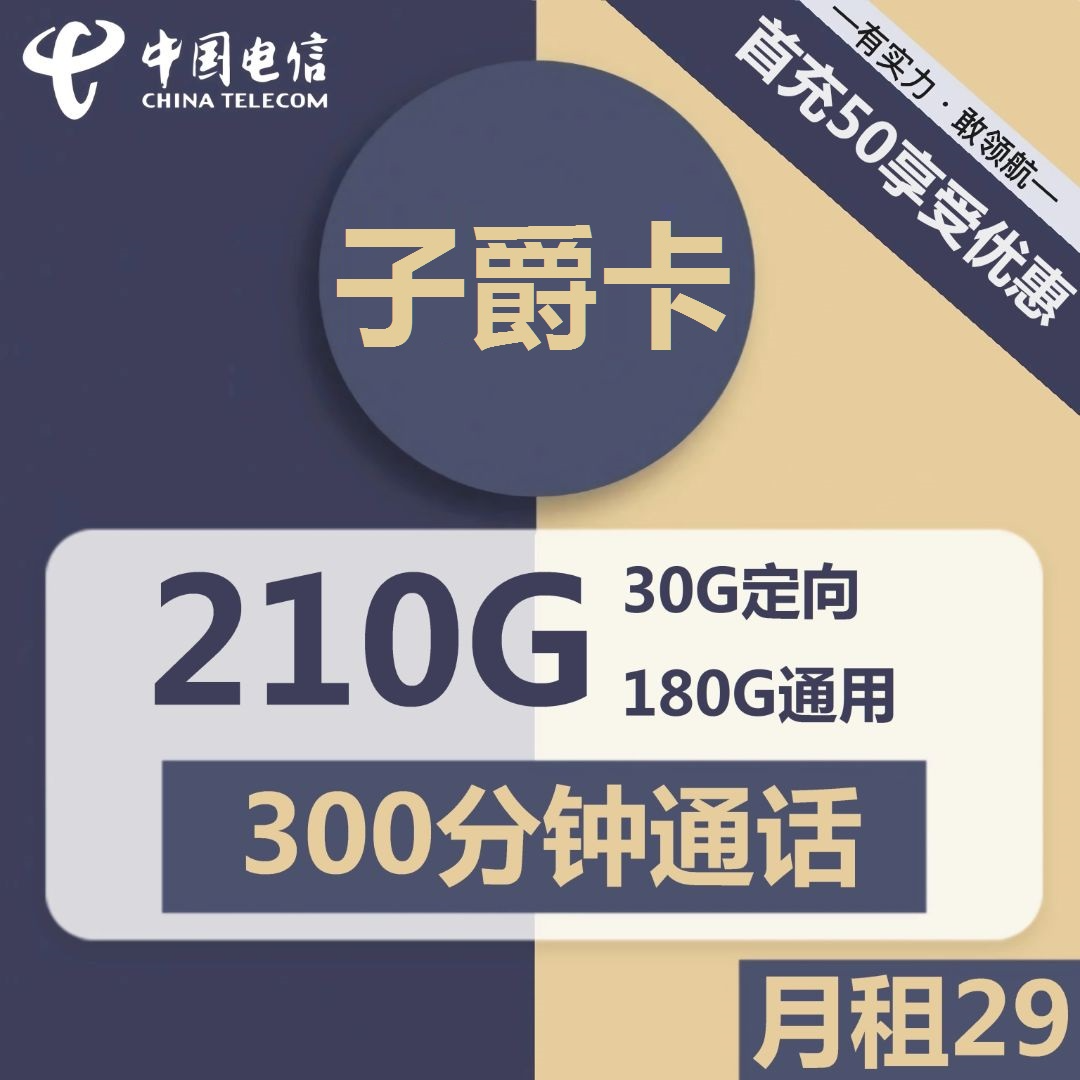 【长期套餐】电信子爵卡/吉祥卡/欢吉卡29元包180G通用+30G定向+300分钟通话