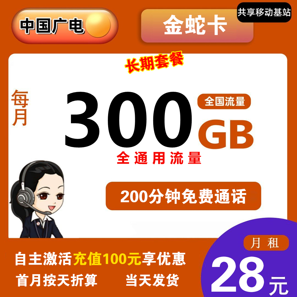 K1508/广电金蛇卡28元300G+200分钟【发全国】【长期套餐】
