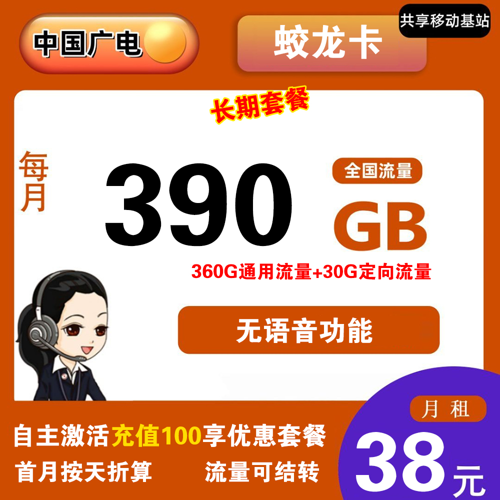 W1604/广电蛟龙卡38元390GB流量【发全国】【长期套餐】