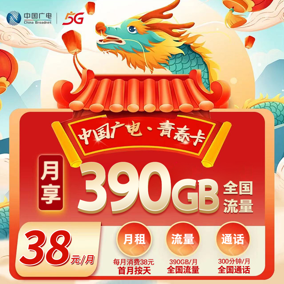 山东广电【38元390G+300分钟】